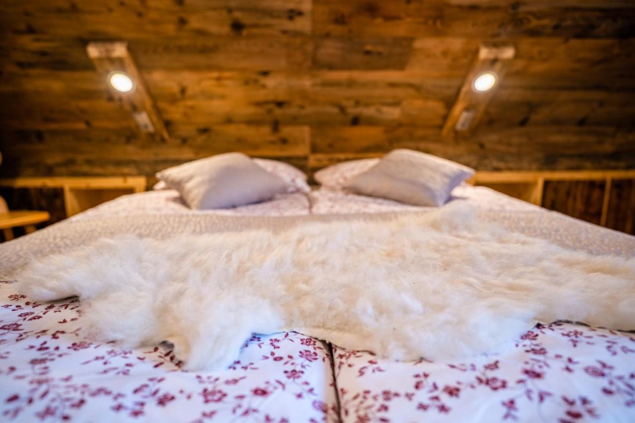 Tourist Farm Senkova Domacija Βίλα Zgornje Jezersko Εξωτερικό φωτογραφία