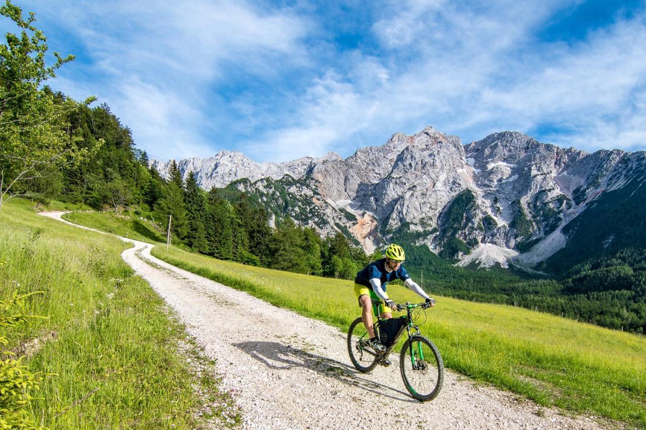 Tourist Farm Senkova Domacija Βίλα Zgornje Jezersko Εξωτερικό φωτογραφία